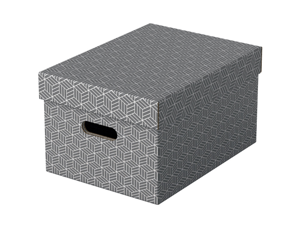 CAJA DE ALMACENAJE ESSELTE MEDIANA COLOR GRIS 365X265X205 MM) PACK DE 3 UNIDADES