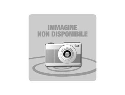 CONSUMIBLES LEXMARK GRAPAS (3 CAJAS)